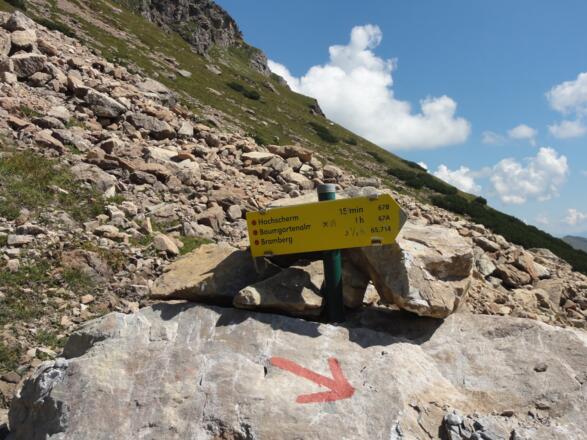 Bergab zur Baumgarten Alm