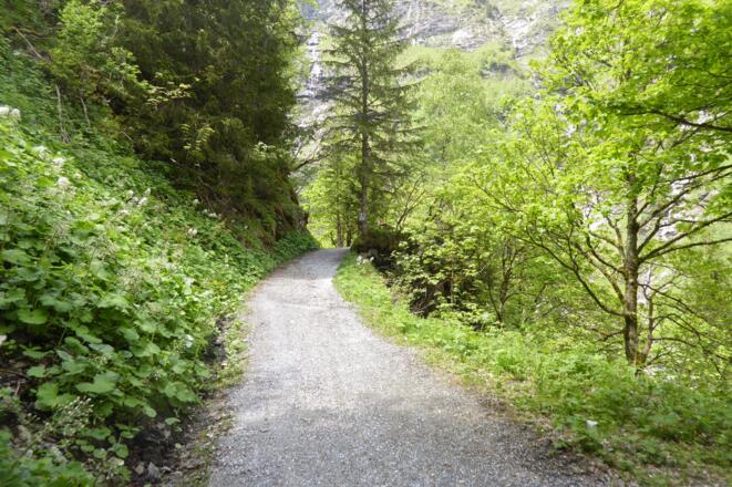 Weg Richtung Sportgastein