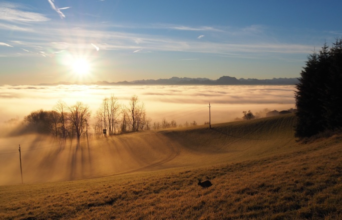 Ueber dem Nebel