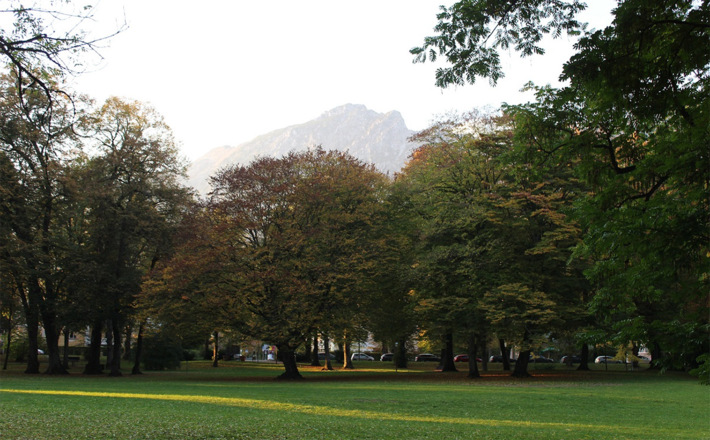 Herbst im Karlspark