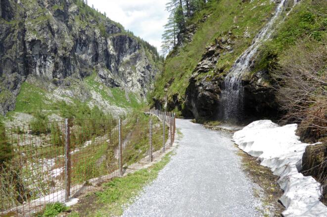 Auf dem gleichen Weg zurück