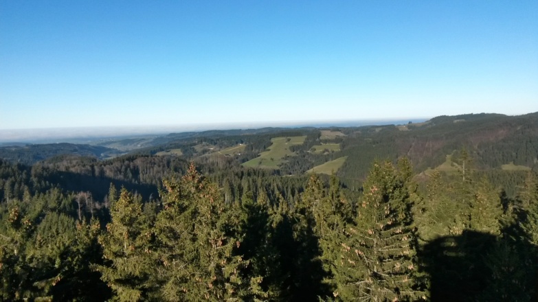 Blick vom Schwarzen Grat nach Oberschwaben