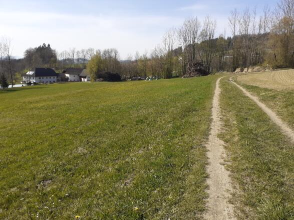 Über den Wiesenweg zurück in den Ort
