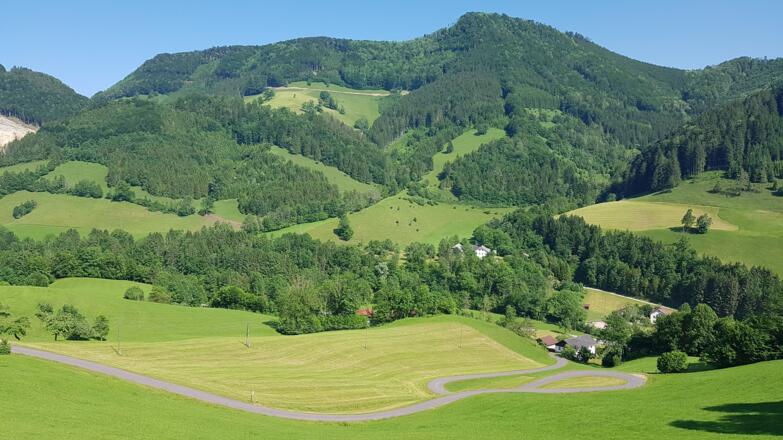 was für Kurven - Abfahrt wie auf einer Dolomitenstraße