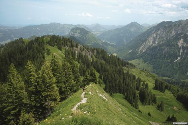 Kammweg am Schnippenkopf
