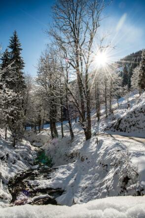 Am Wanderweg rauf zum Aigenberg