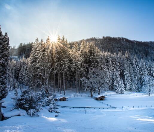 Winterlandschaft beim Sattelbauer