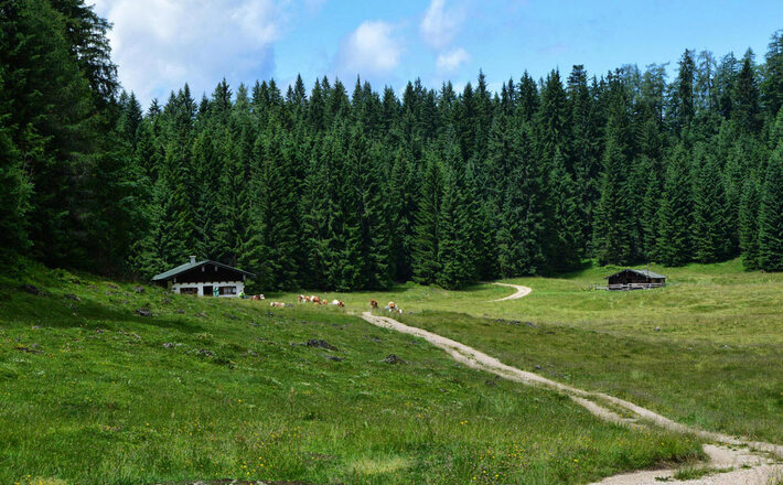 Die Anthauptenalm im Lattengebirge