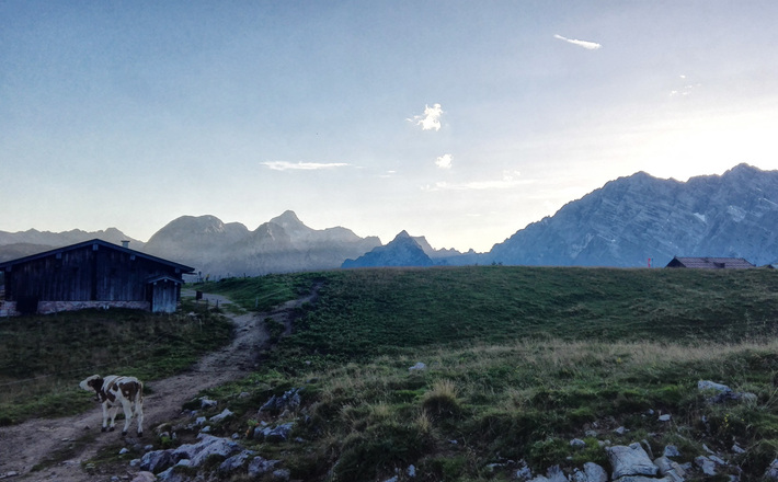 Abends auf der Gotzenalm