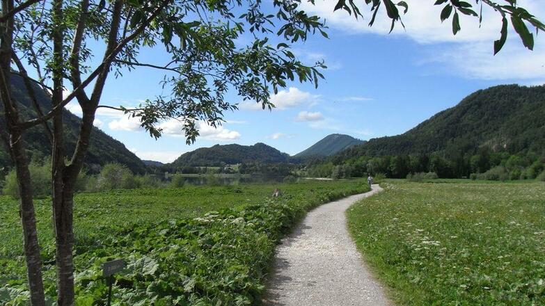 Hintersee