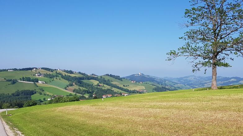 Blick zum Sonntagberg vor der Wieserhöhe