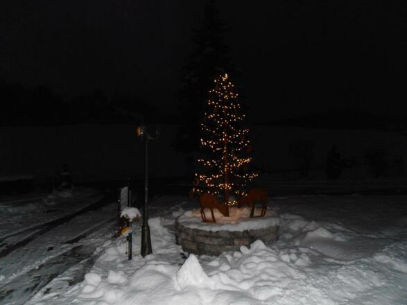 Weihnachtsbaum