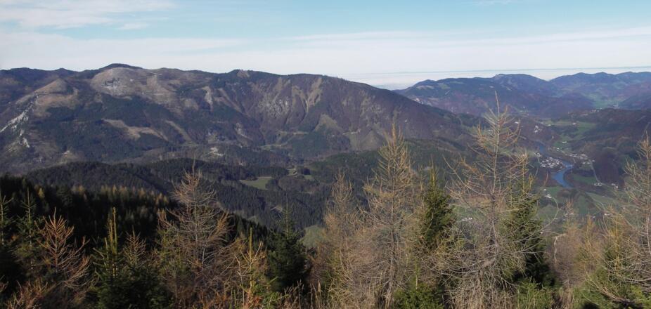 Der Ennsberg - vom Kühberg aus gesehen