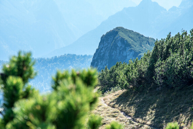Blick vom Karkopf zurück zum Törlkopf