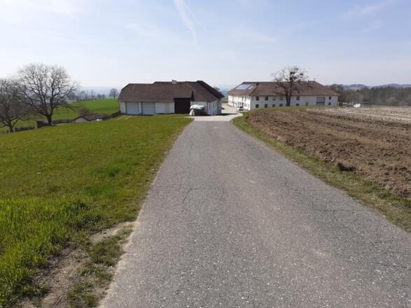 Ein kurzes Stück der Straße entlang