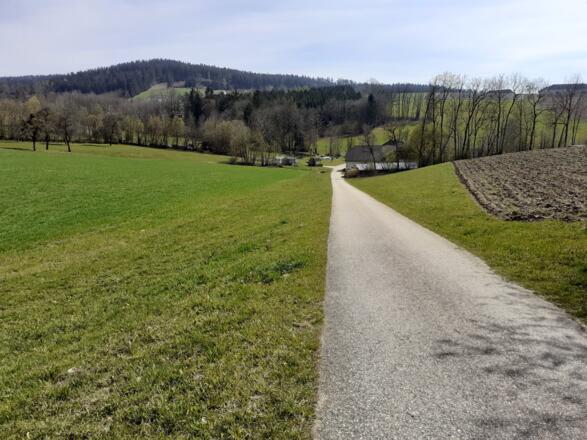 Bis zum Bauernhof geht's noch bergab