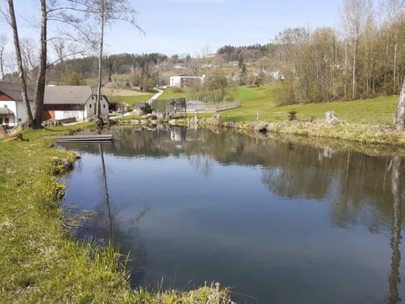 Teich beim Bauernhof und Rückblick hinauf zum Ort
