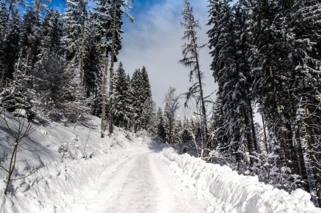 Winterwanderweg zur Pfeiffei Alm
