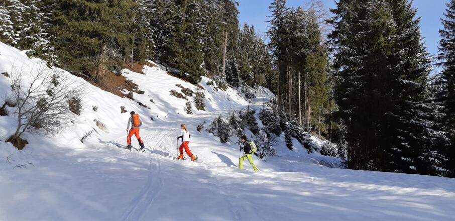 Bei wenig Schnee im Wald ist die Forststraße die Alternative.
