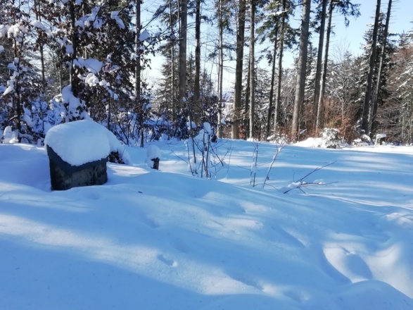 Kleine Schwedenschanze