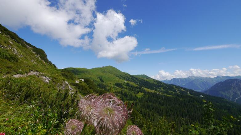 Blick zurück zum Fellhorn aus Richtung Kanzelwand
