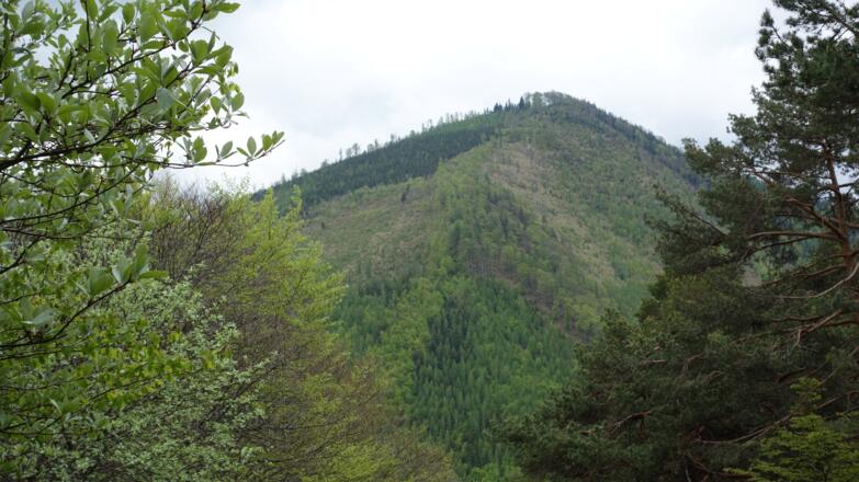 steiler Abstieg mit Trailingblick