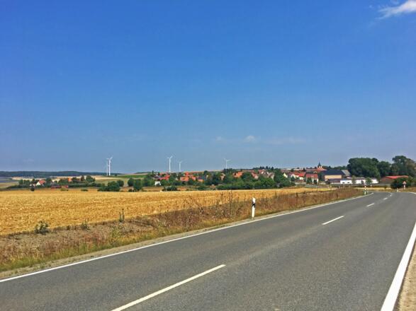 Blick auf Moos
