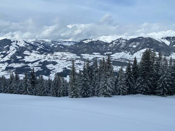 Blick auf das Salzachtal und die Grasberge