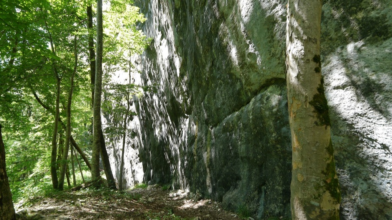 Der Kletterfels "Neues Tiefenbach"