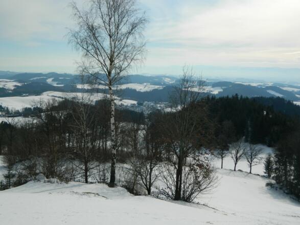 Durchblick nach Pabneukirchen