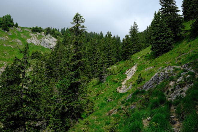 Offenes Gelände unterhalb der Hütte