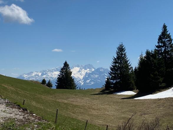Dachsteinblick