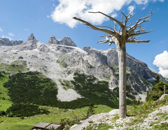 Gauertaler AlpkulTour (c)  Andreas Haller -  Montafon Tourismus GmbH, Schruns.jpg