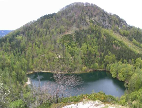 Eibenseekopf über dem Eibensee