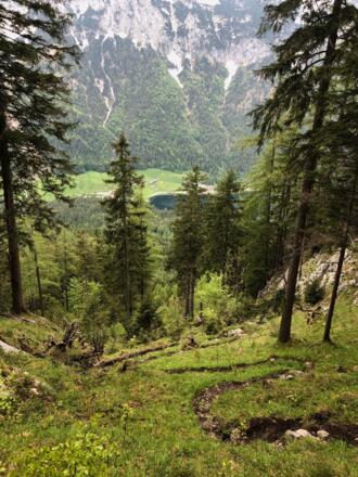 Schmaler, steiler Pfad im Aufstieg zur Blaueishütte