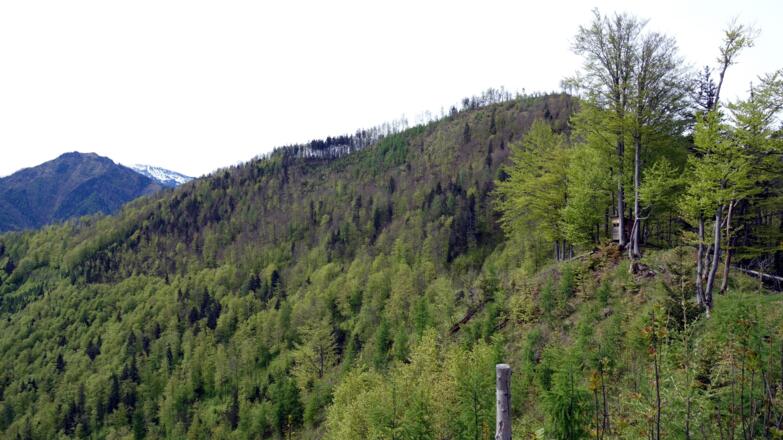 Eibling 1108m mit Jagastand (955m) vom Südgrat
