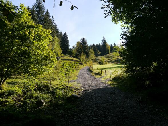 Der Aufstieg ist nirgends ausgeschildert