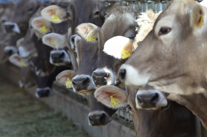 2012.03.21rosaliau.fewo2278