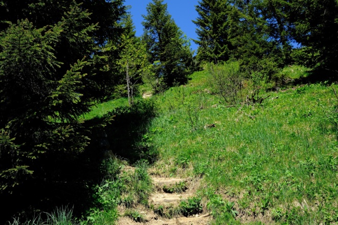 Wanderweg zum Gipfel