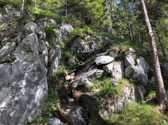 "Schwierigste" Kletterstelle entlang des einsamen Aufstiegs zur Blaueishütte