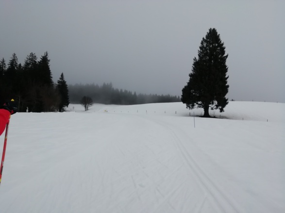 Langlaufloipe Eschach B4
