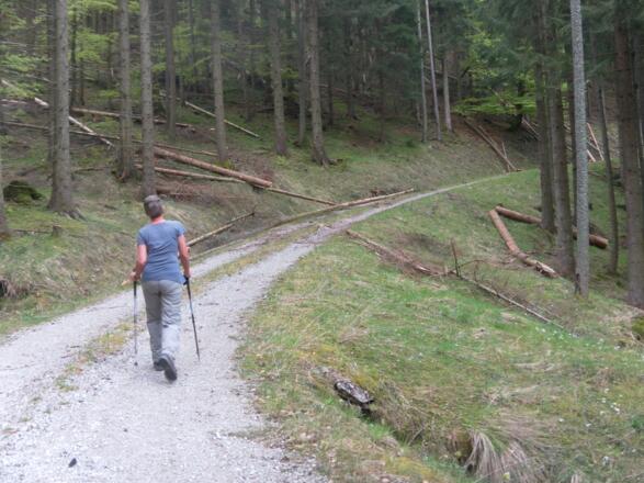 am Forstweg