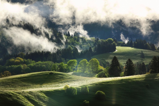 Bergmischwald und Wiesen bei Unterammergau
