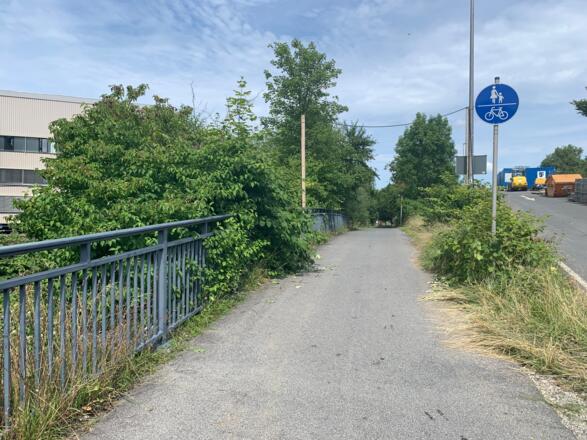 Fuß- und Radweg des Friedrich-Rückert-Wegs