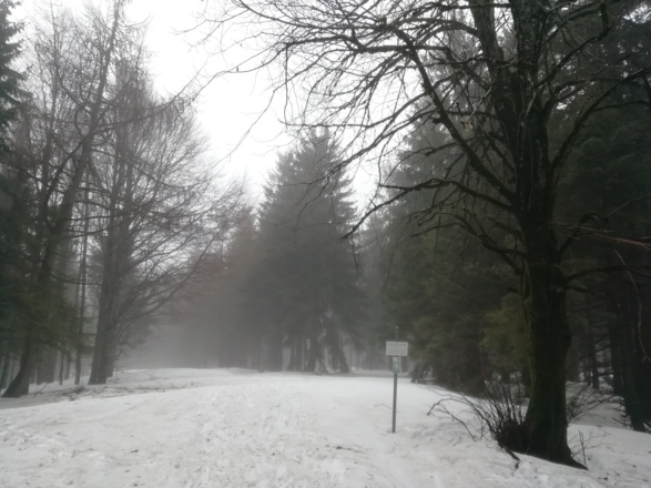 Gipfel Ursersberg 1.129m