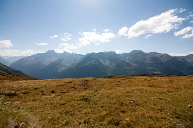 Wegspur durch Almböden folgen