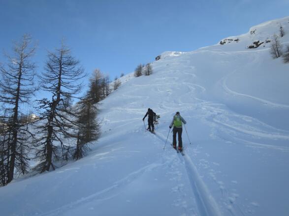 Zuletzt erreicht der Gipfelhang eine Steilheit von ca. 35°, dazu kommt die Kammnähe. Frische Triebschnee-Ansammlungen können hier eine Gefahrensituation schaffen. Die regelmäßige Befahrung dieses Hanges wiederum wirkt positiv auf die Schneedeckenstab