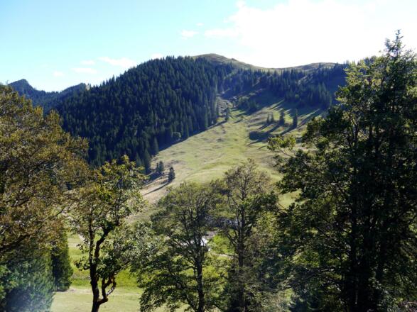 Rüber zum Seekarkreuz bietet sich eine hübsche Erweiterung an