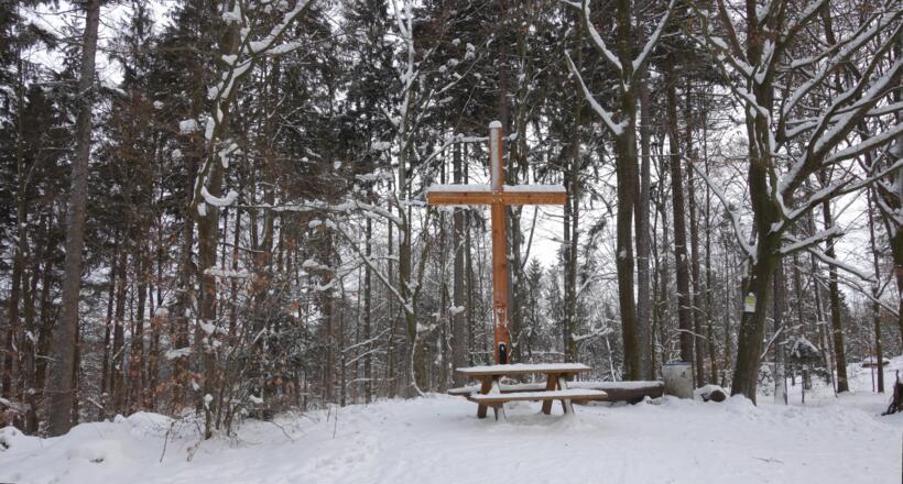 Kreuz beim Nordgipfel 604m, Rastplatz