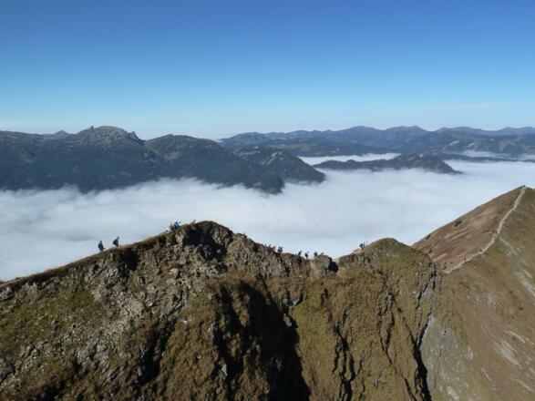 Gipfel des Fellhorns